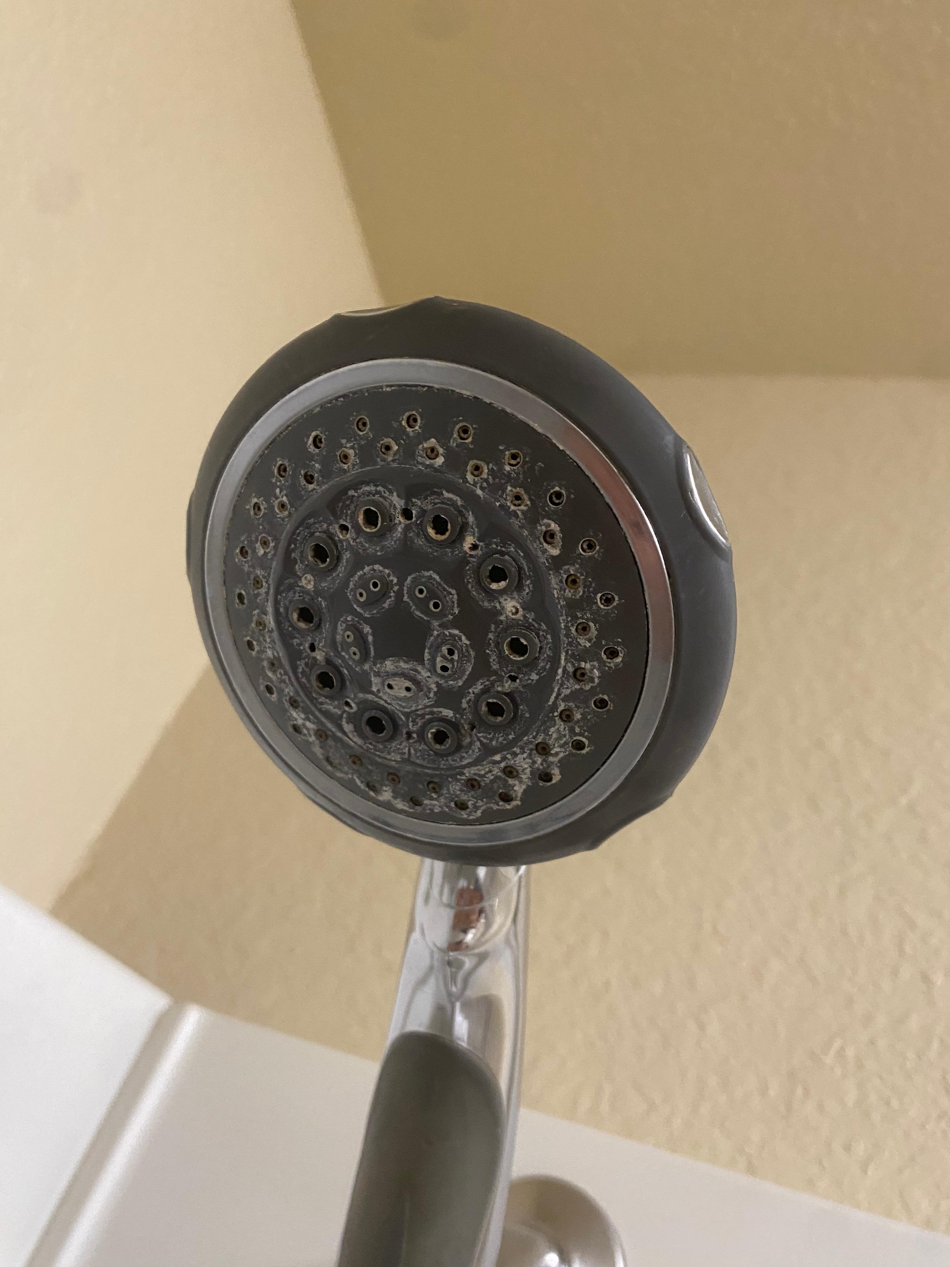 Hard water on shower head. 