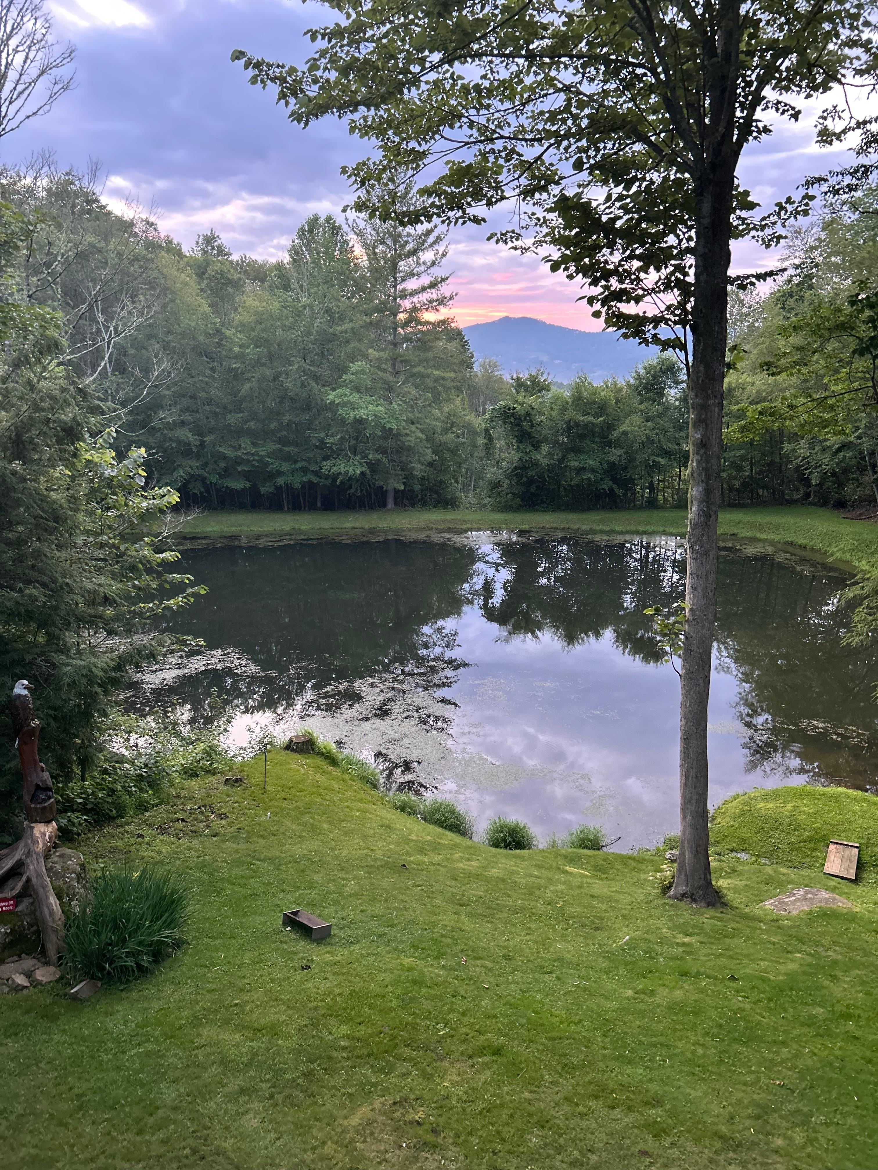 Beautiful view of the pond. 