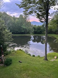 Beautiful view of the pond.