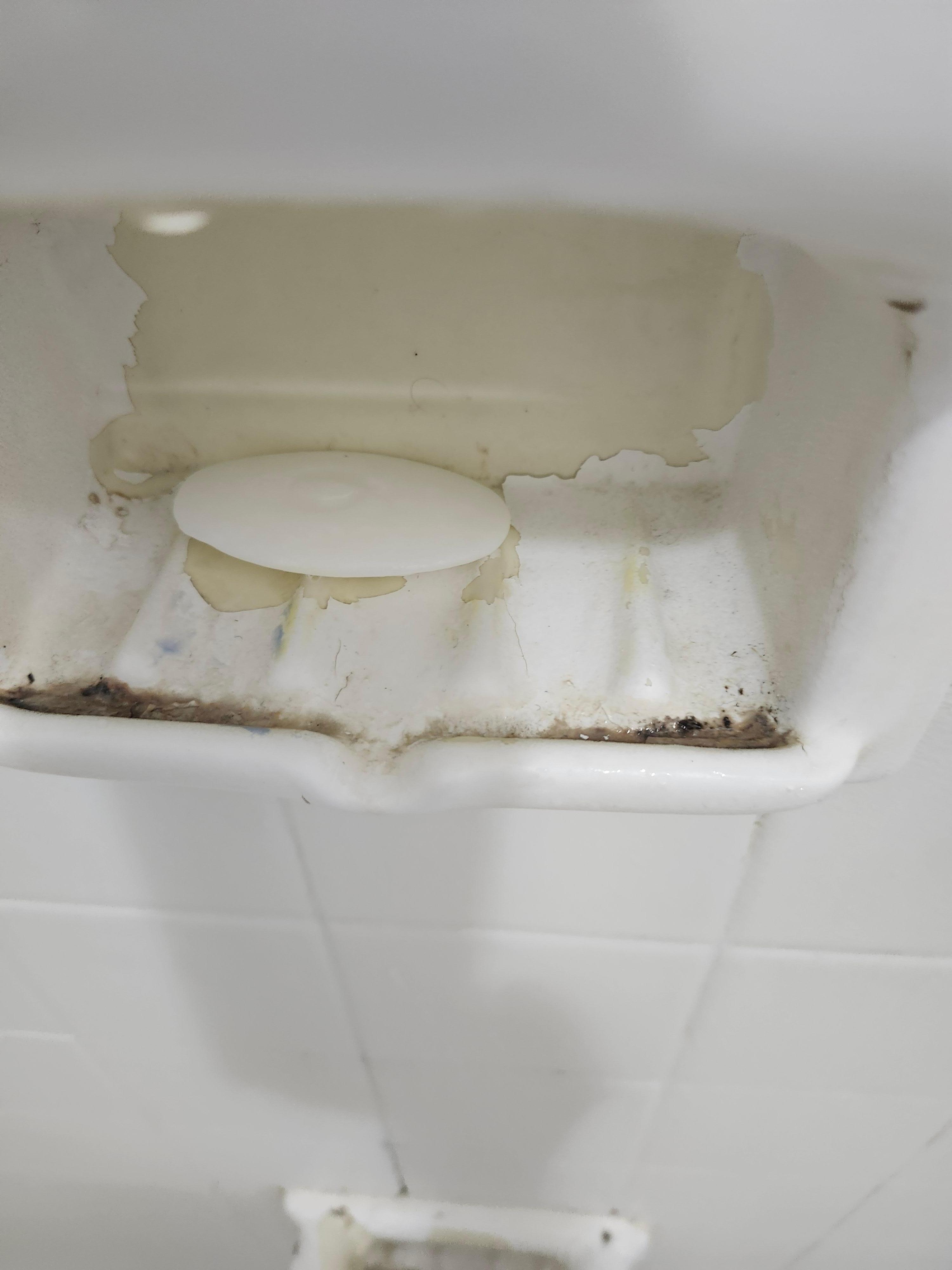 Crud or mold & used bar of soap in soap dish