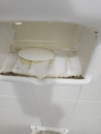Crud or mold & used bar of soap in soap dish