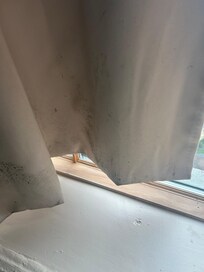 More mold on drapes