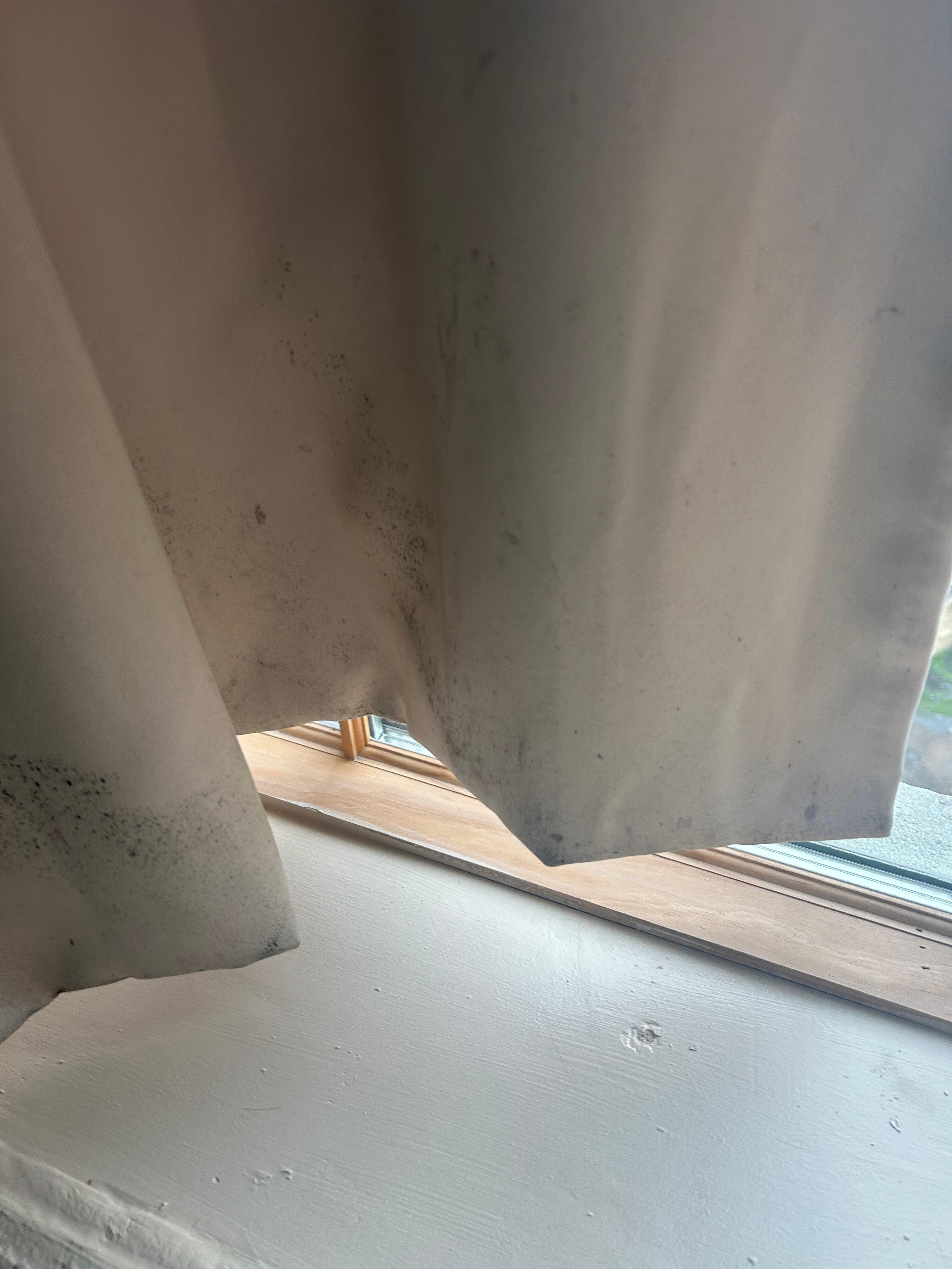 More mold on drapes