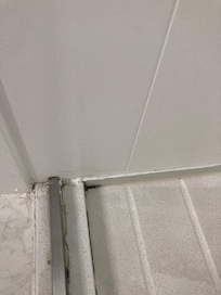 Mold/Mildew Shower Room 410