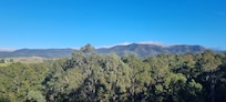View from balcony.