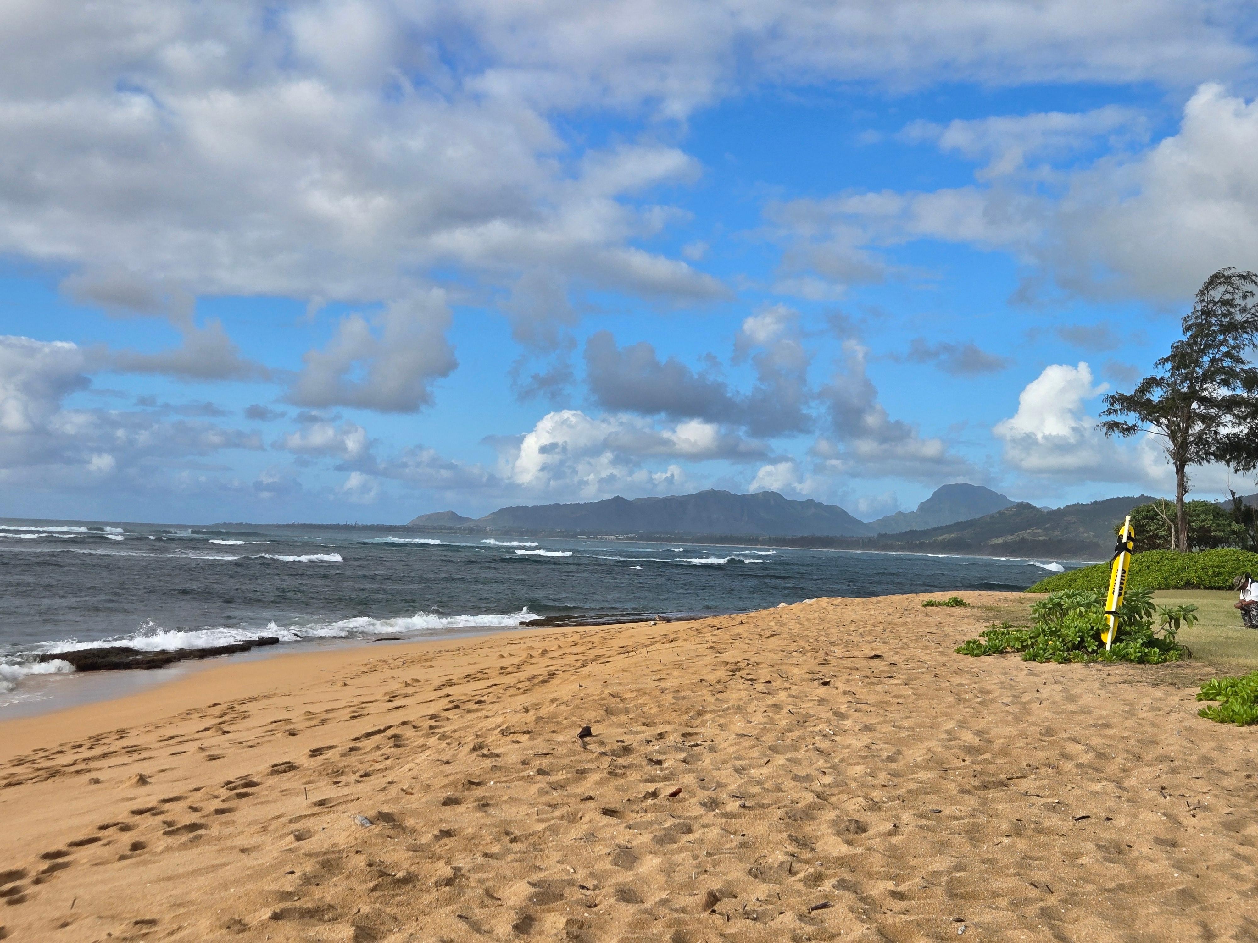 Beach, but walk south down bike path for swim cove.