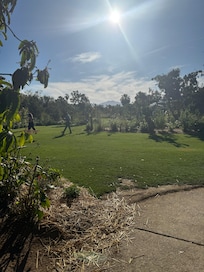 View from Master Bedroom