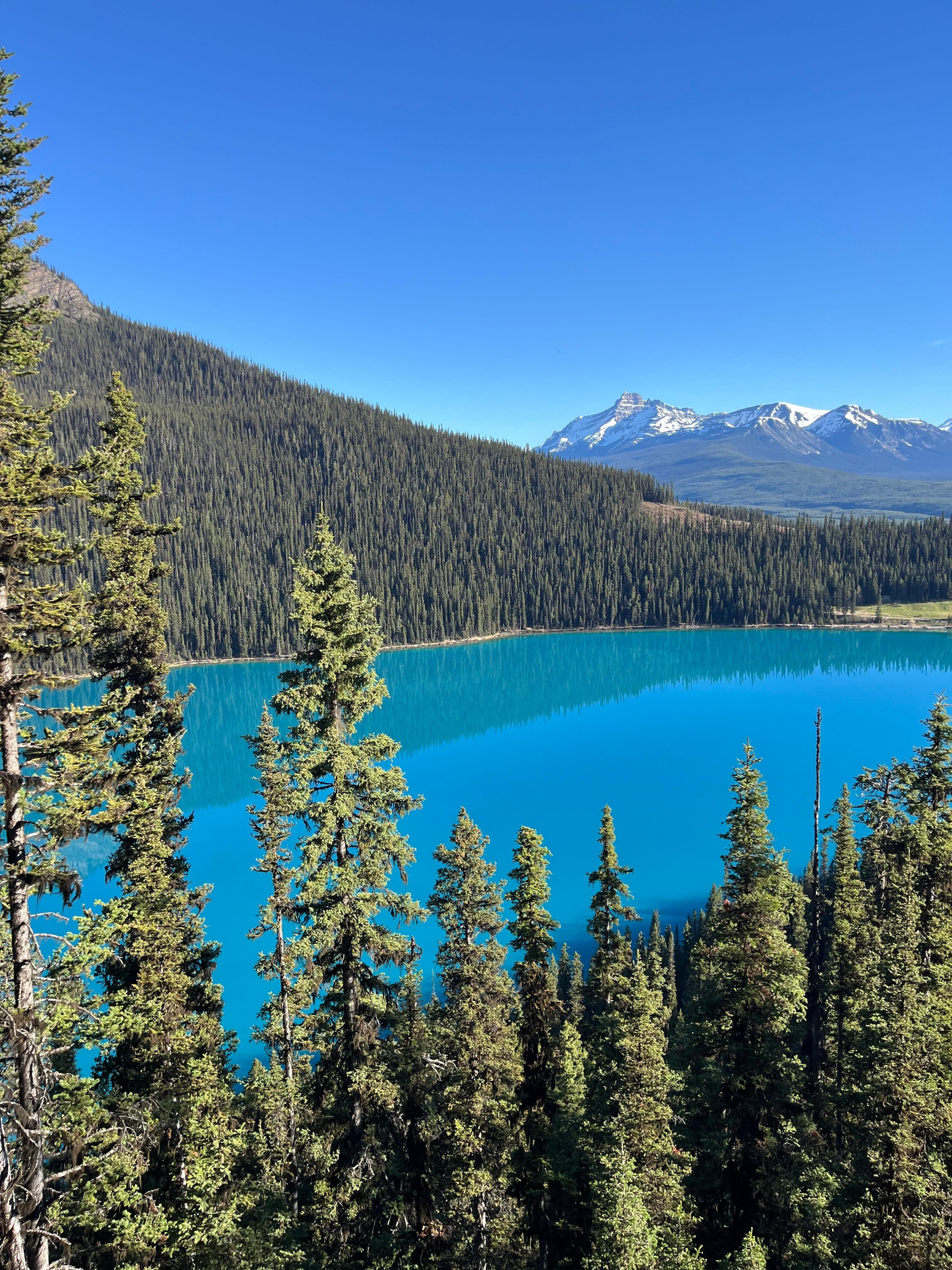 About a 5 minute drive from Lake Louise
