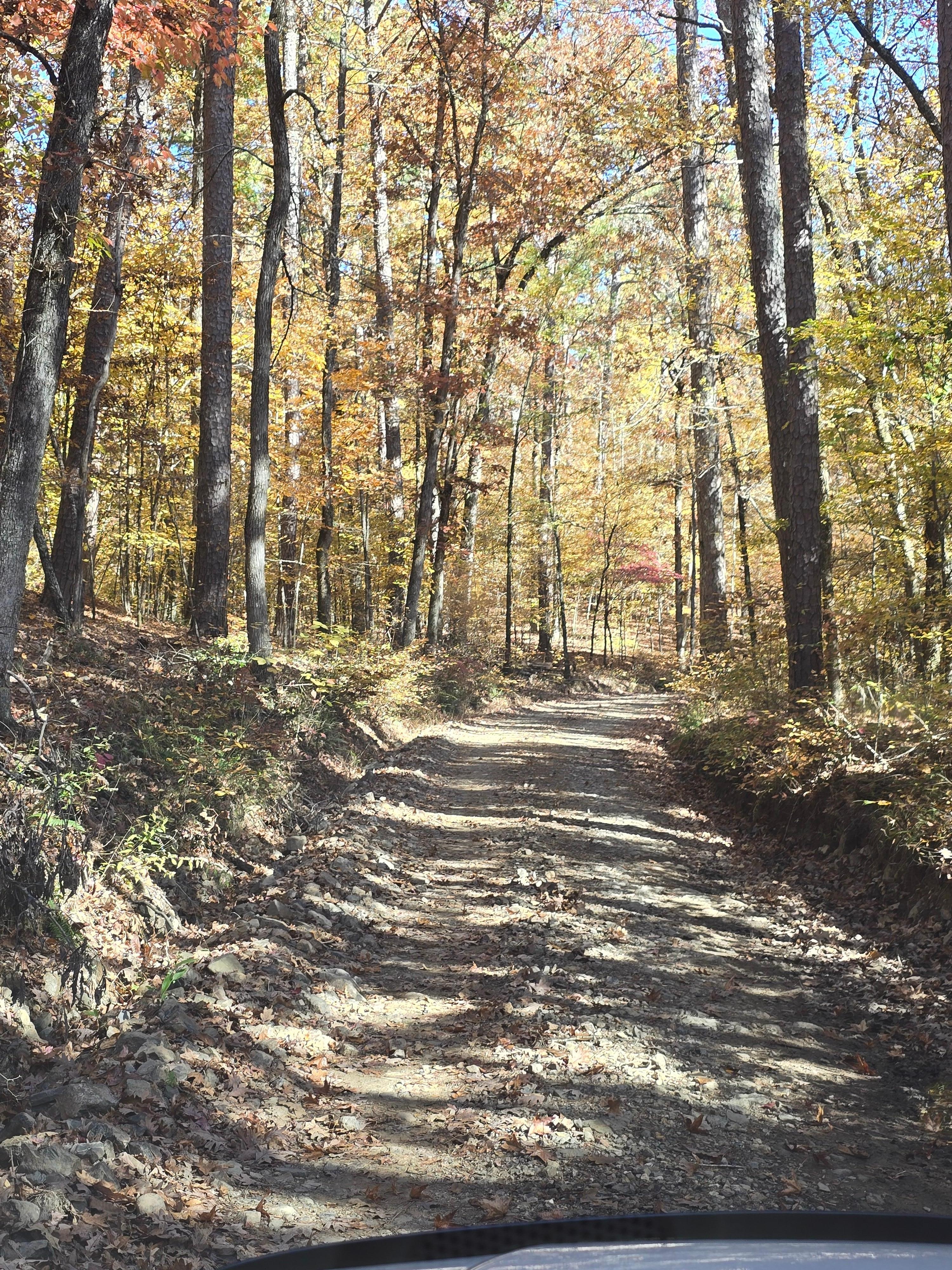 Beautiful road driving in.