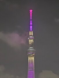 View of skytree from hotel rooftop bar.