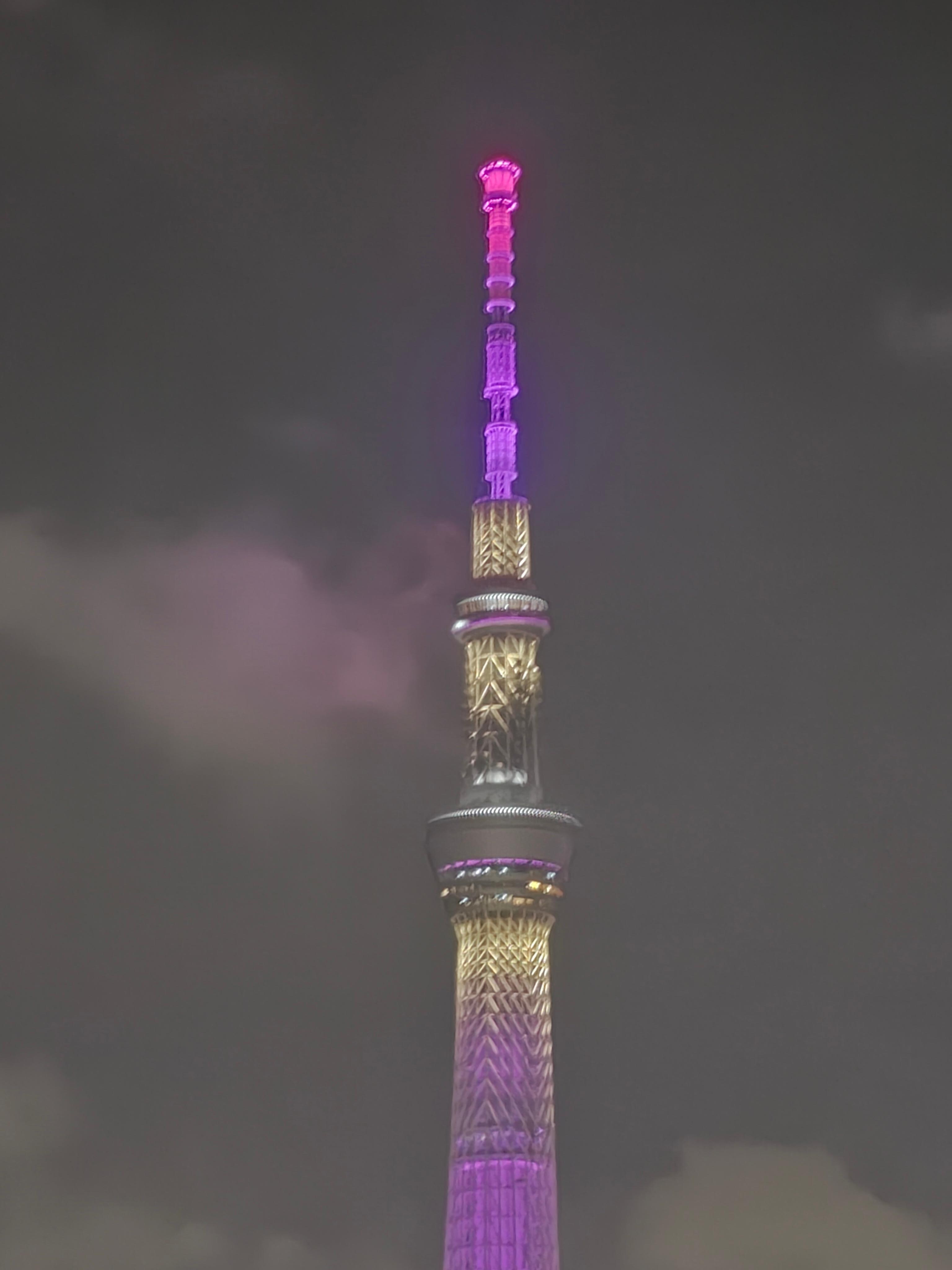 View of skytree from hotel rooftop bar. 