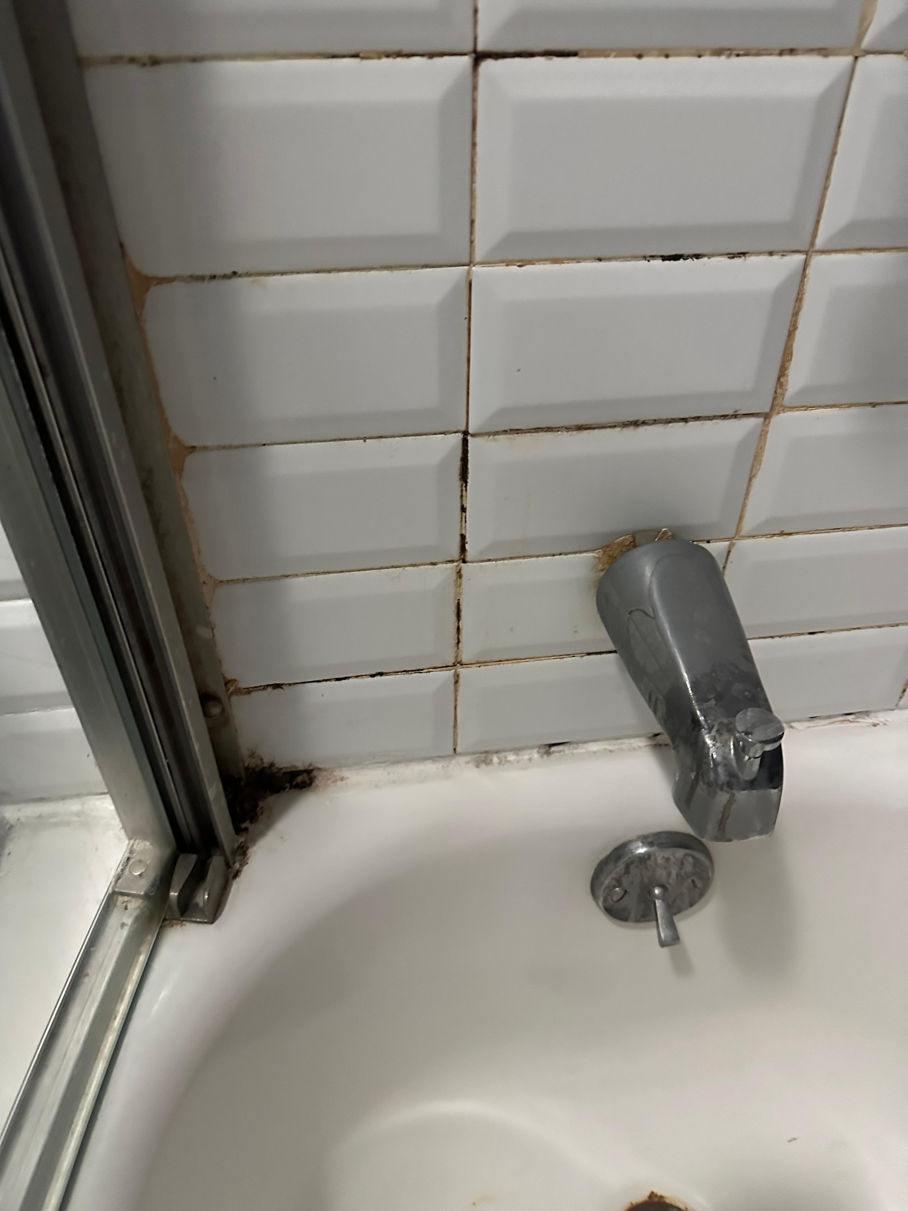 Mold in shower
