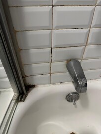 Mold in shower