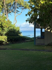 View from patio.