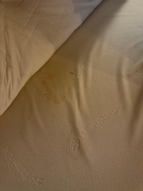 If you can’t tell by the visual.. that’s a spec of human fecal matter, paired up with the other bodily fluid stain.