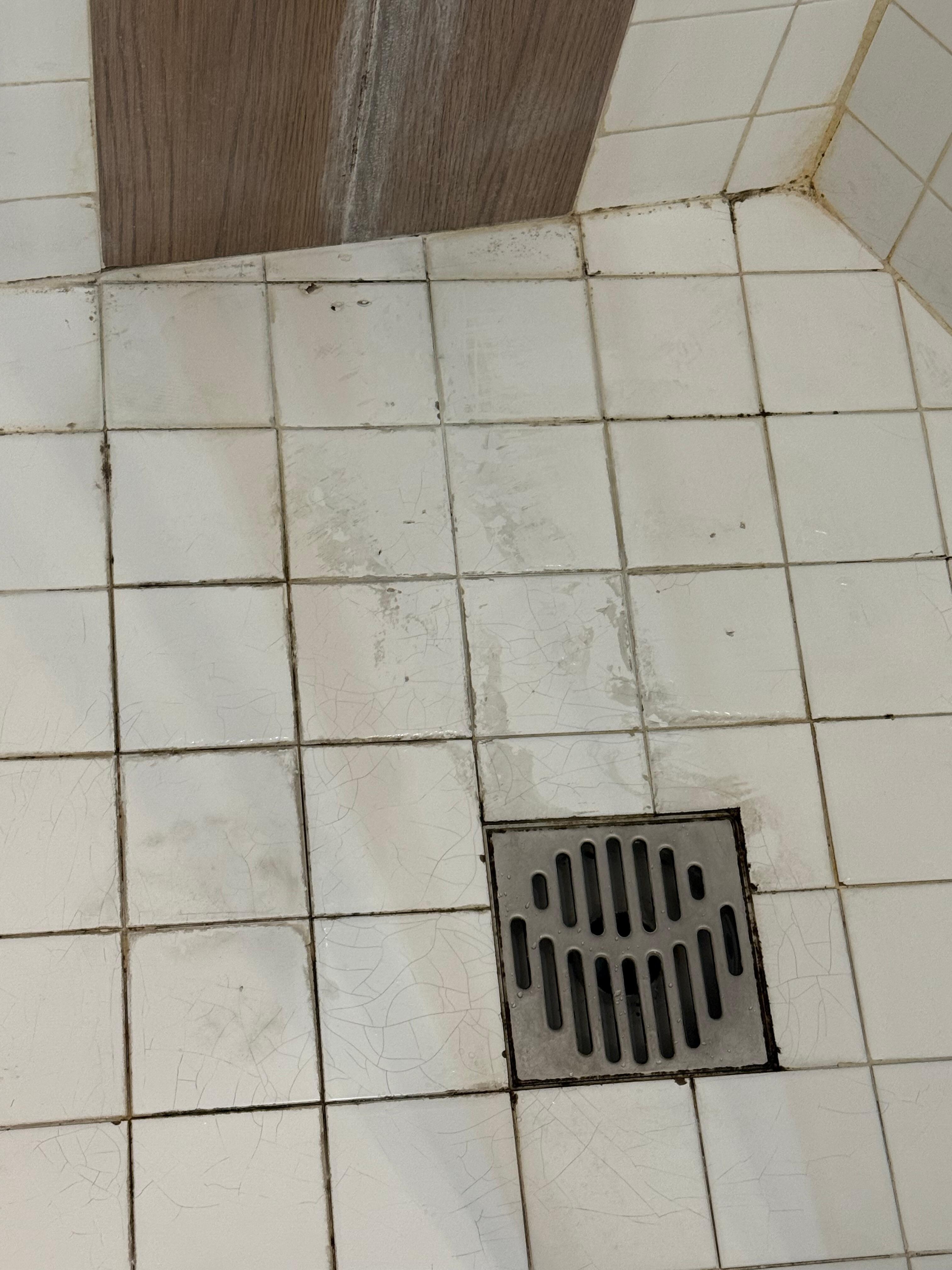 Disgusting shower floor.