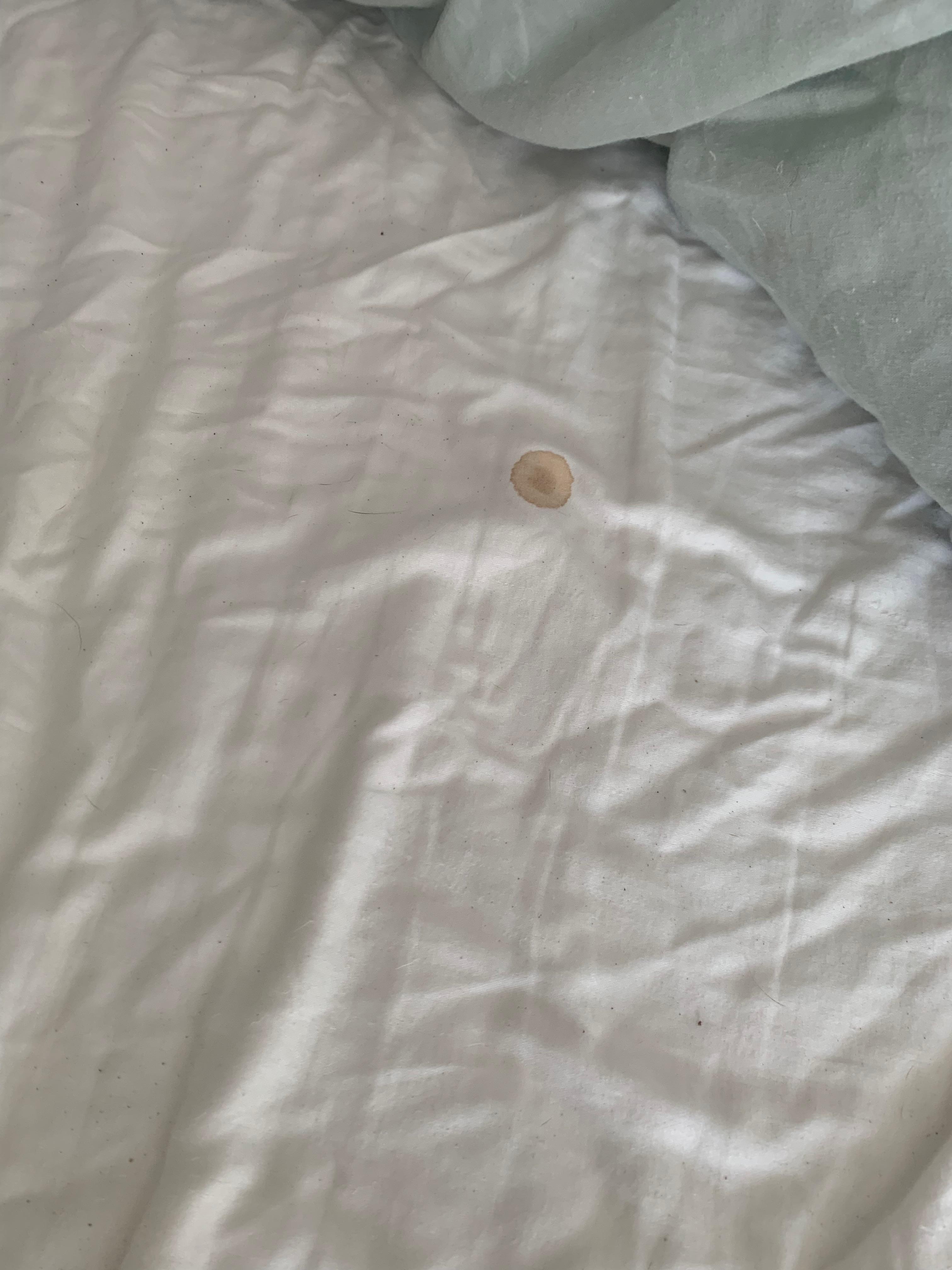 Primary bedroom, only room with a King. Bedding was filthy and stained. Looked slept in.
