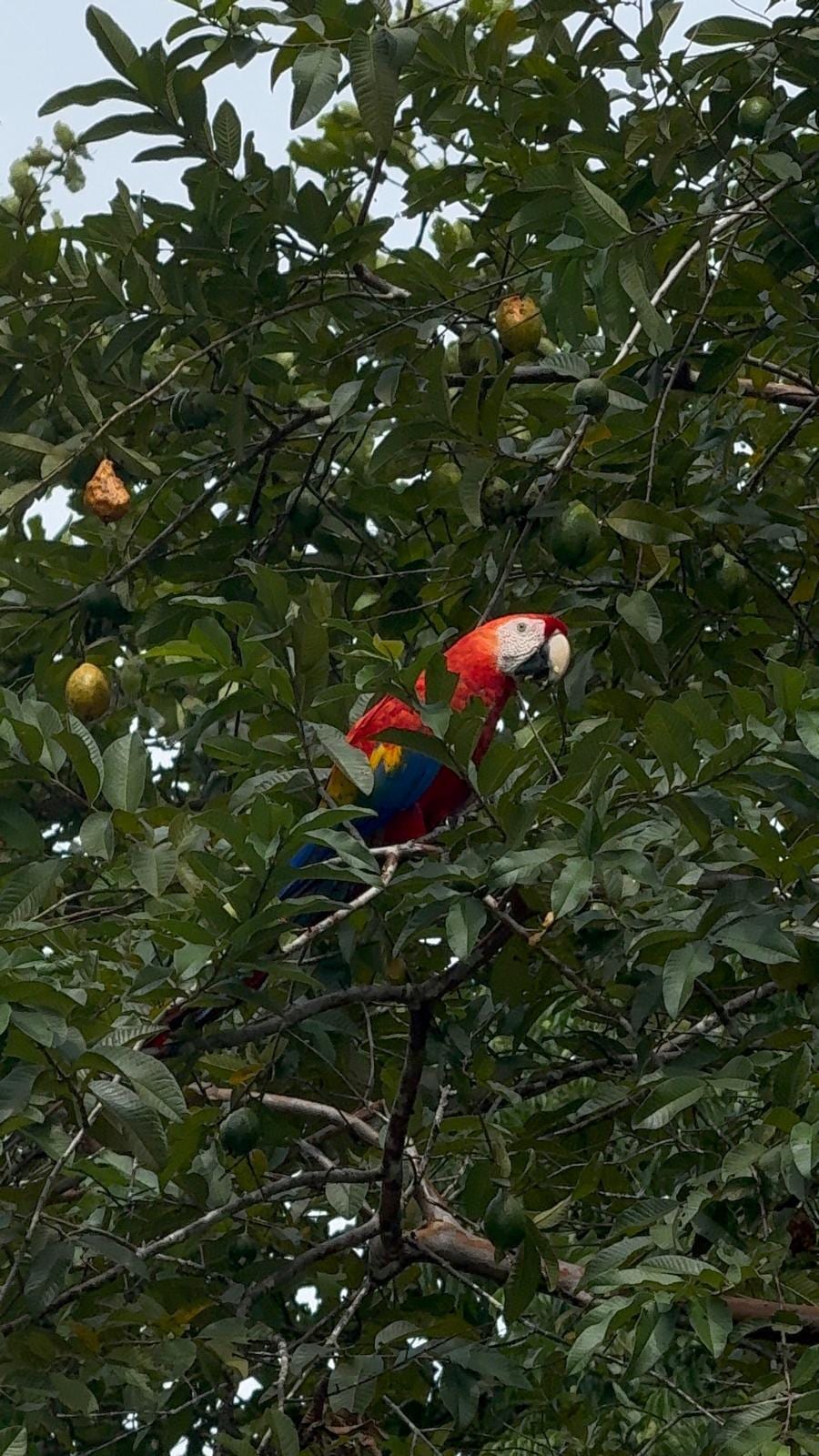 Photo prise dans l'enceinte de l'hôtel 