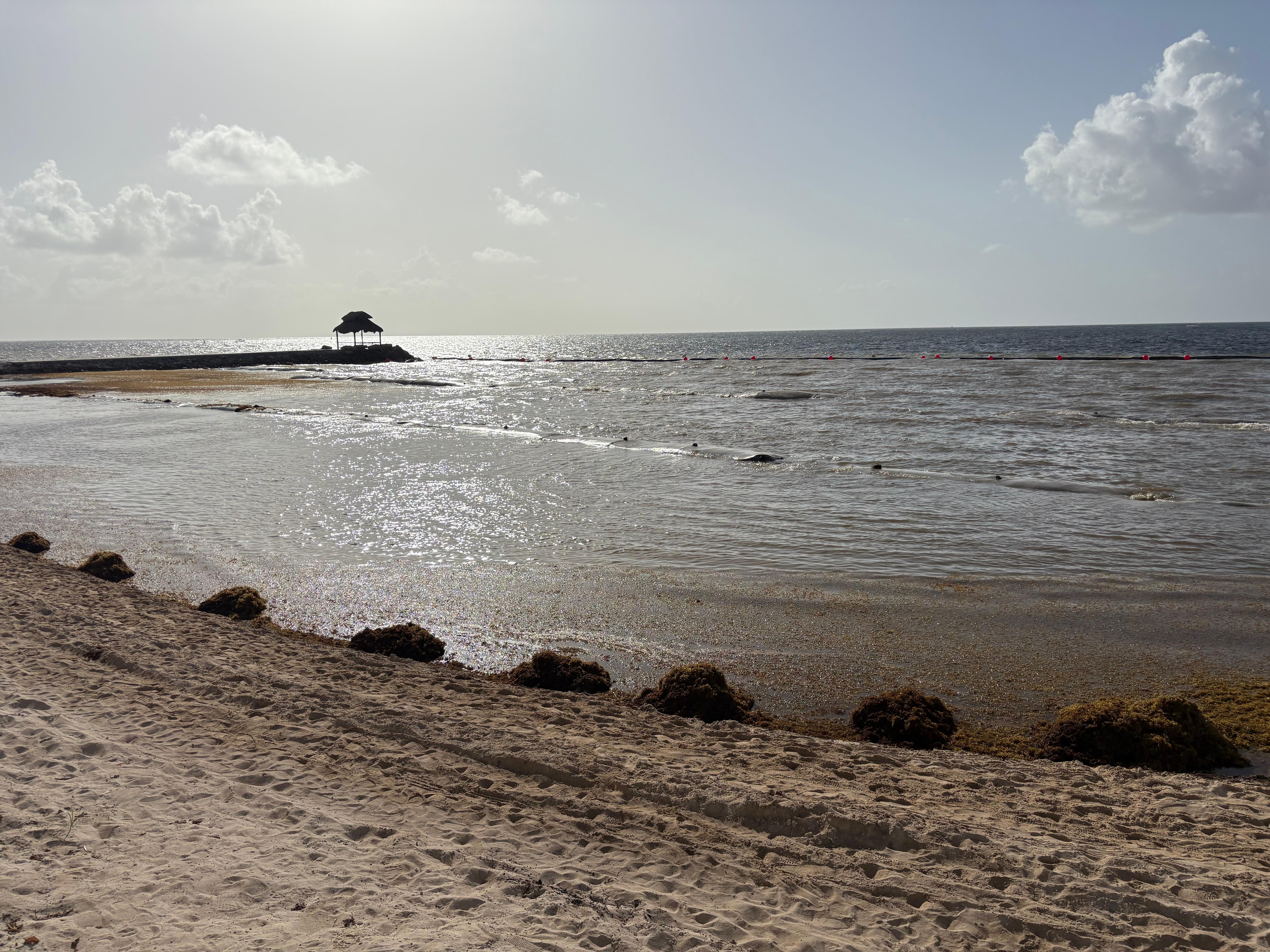 Everyday the hotel worker attempted to clean with dump trucks and backhoes but there was too much seaweed to make a difference.