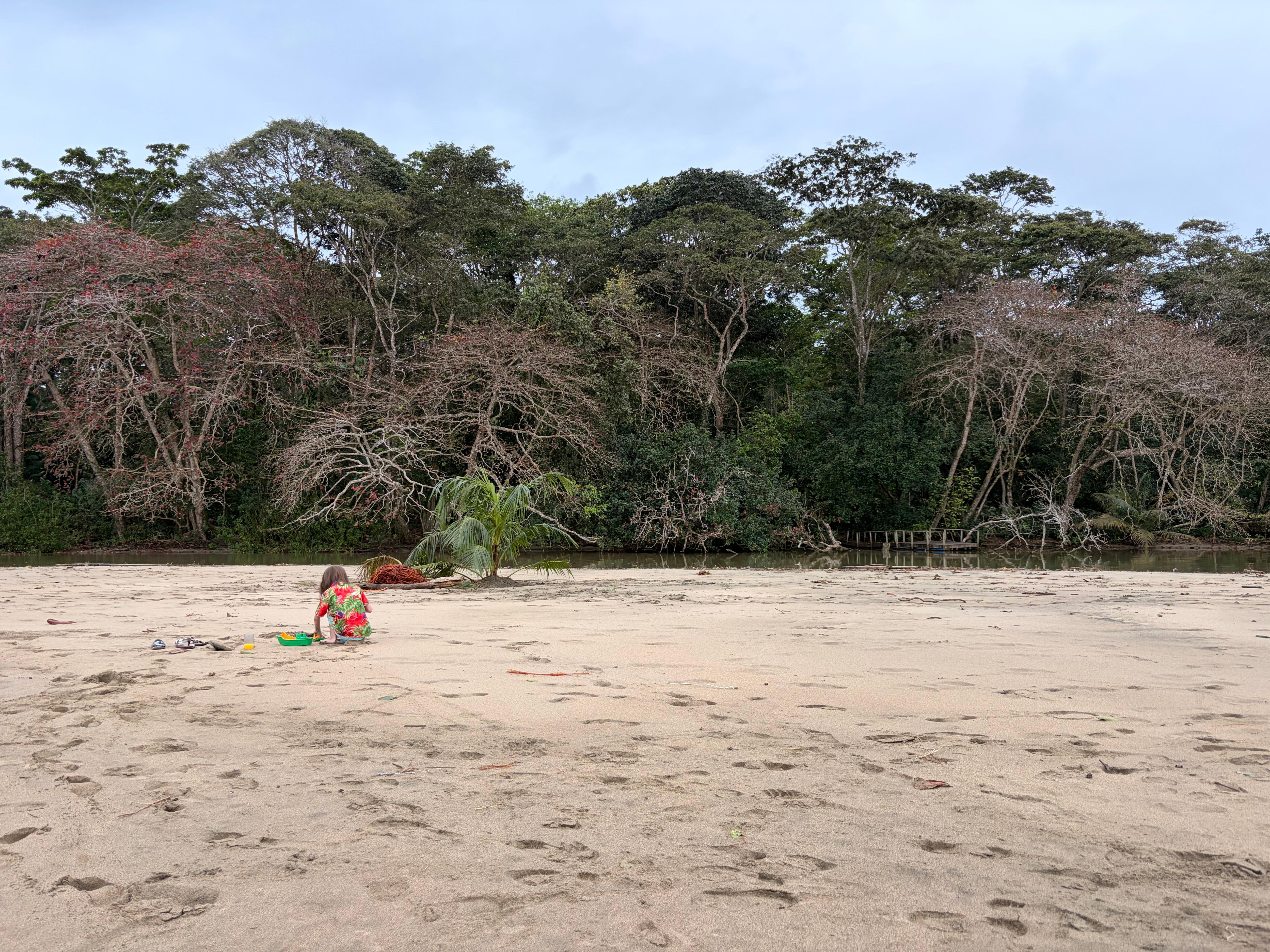 Beach right at the property