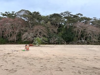 Beach right at the property