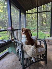 On the sweet porch, looking for critters.