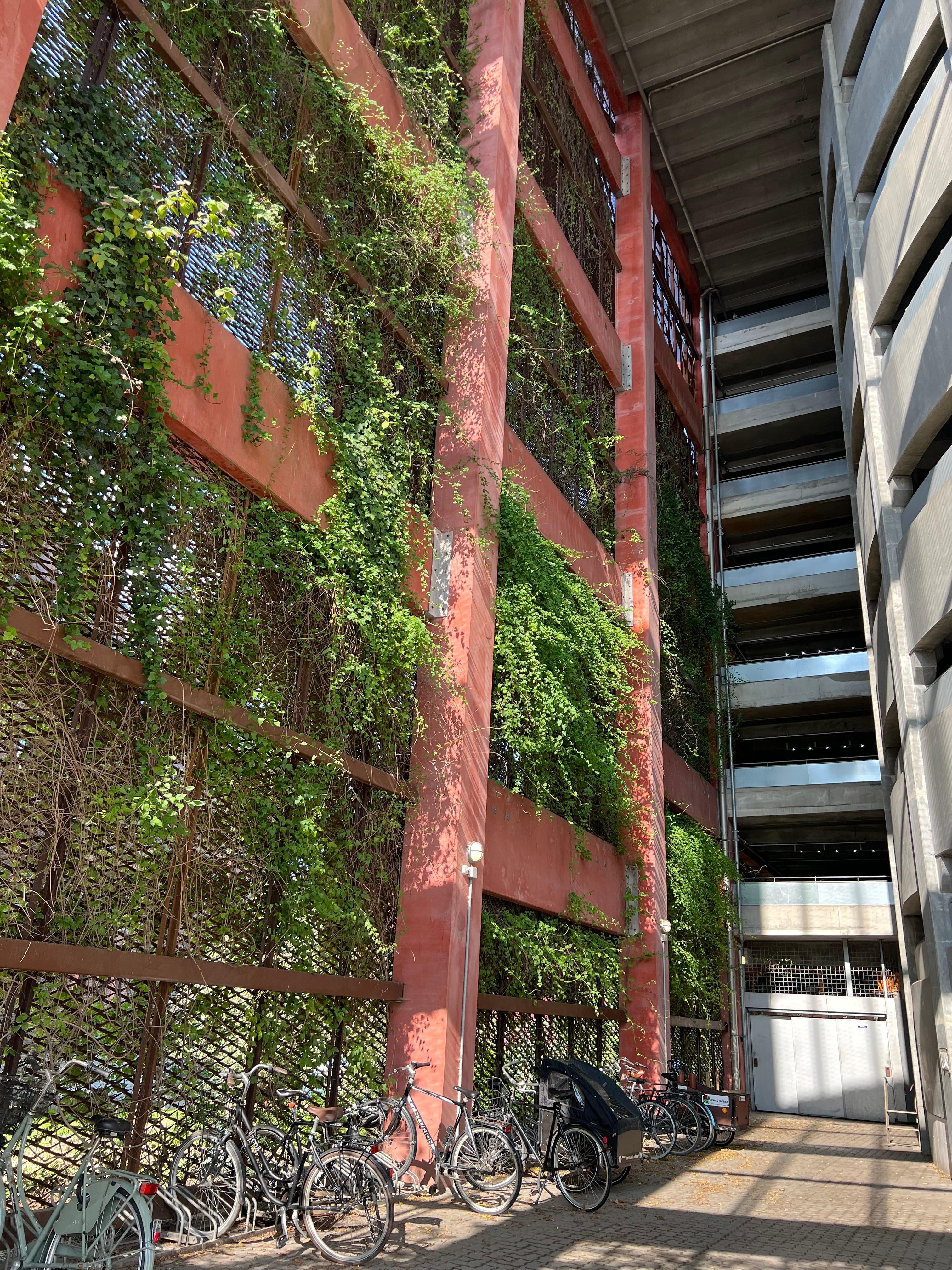 Genius use of modern structure/materials and foliage.