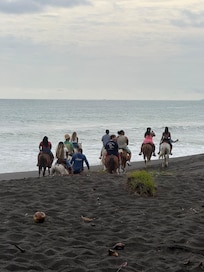 Horseback Riding on Our Beach!!