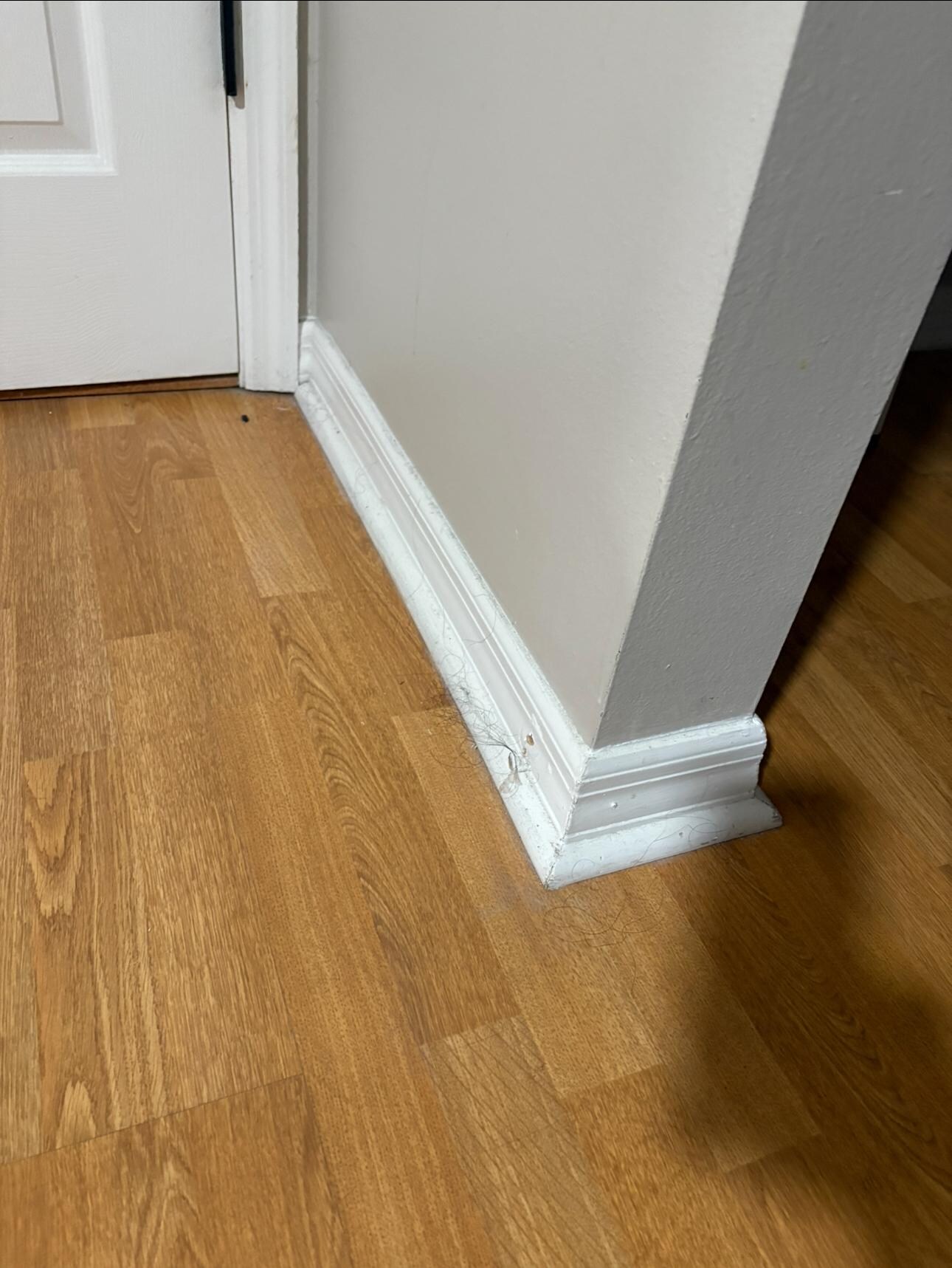 Floors had not been cleaned 