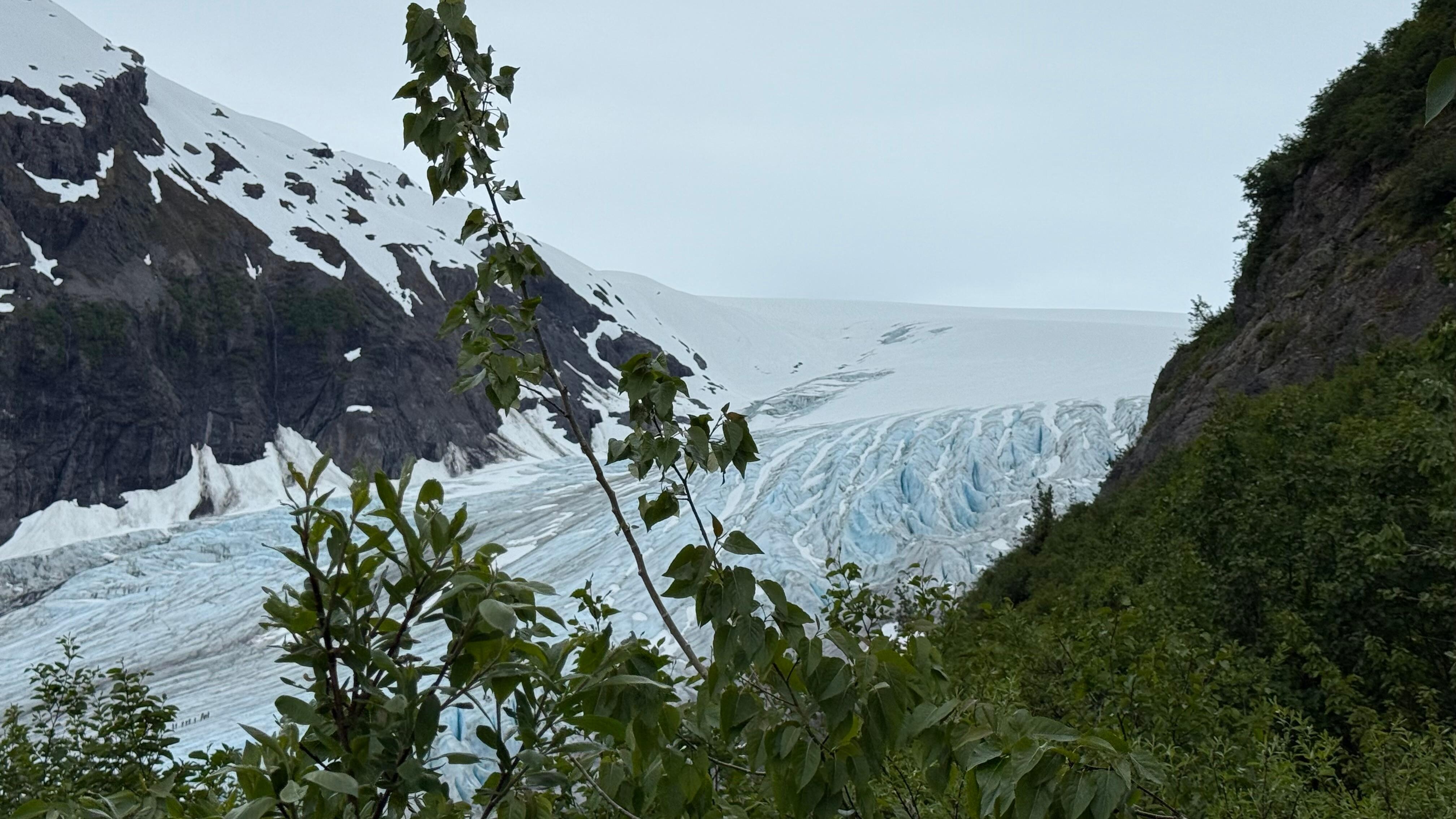 Exit glacier hike