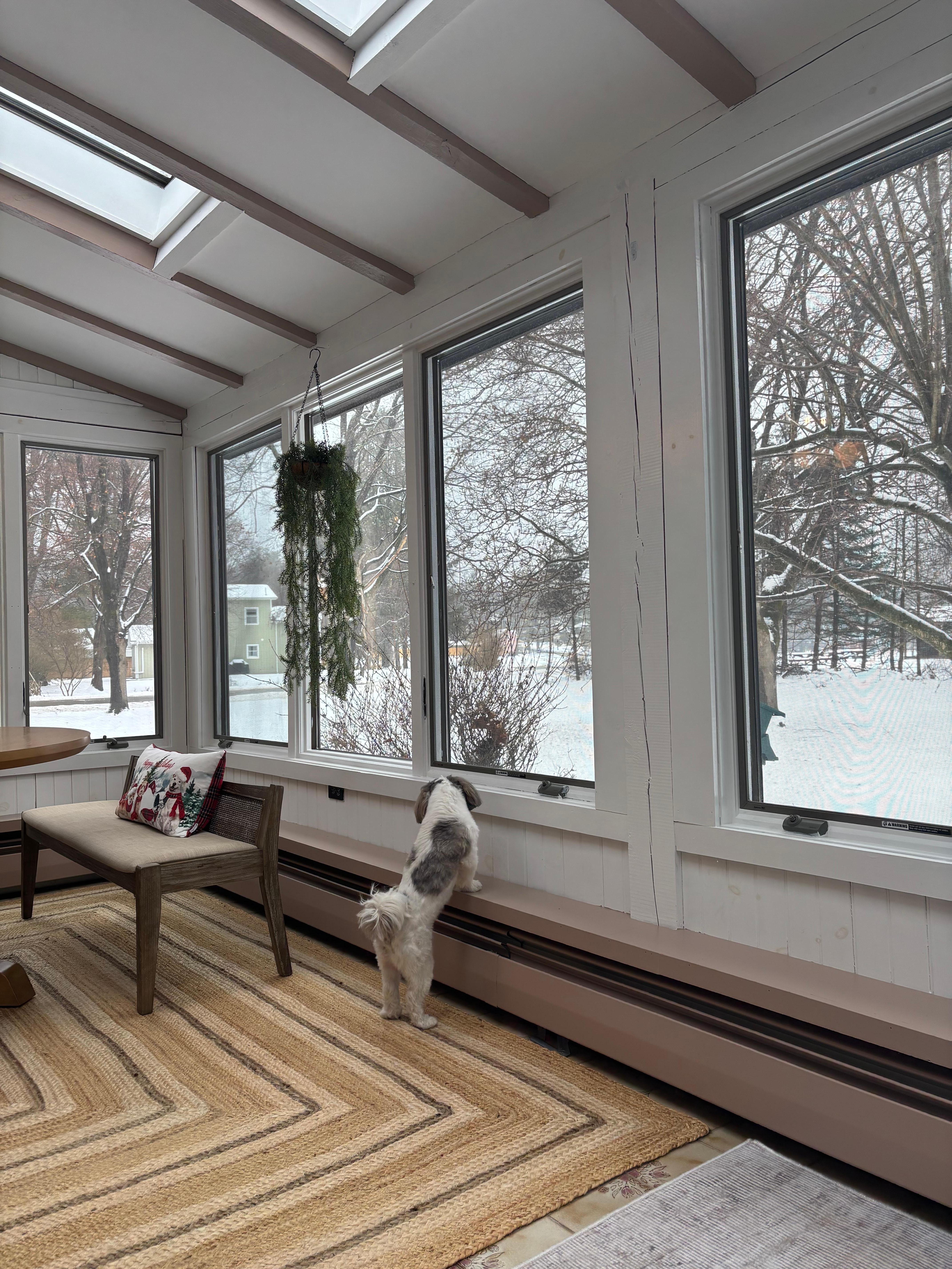 Cozy sunroom