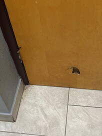 Hole in door