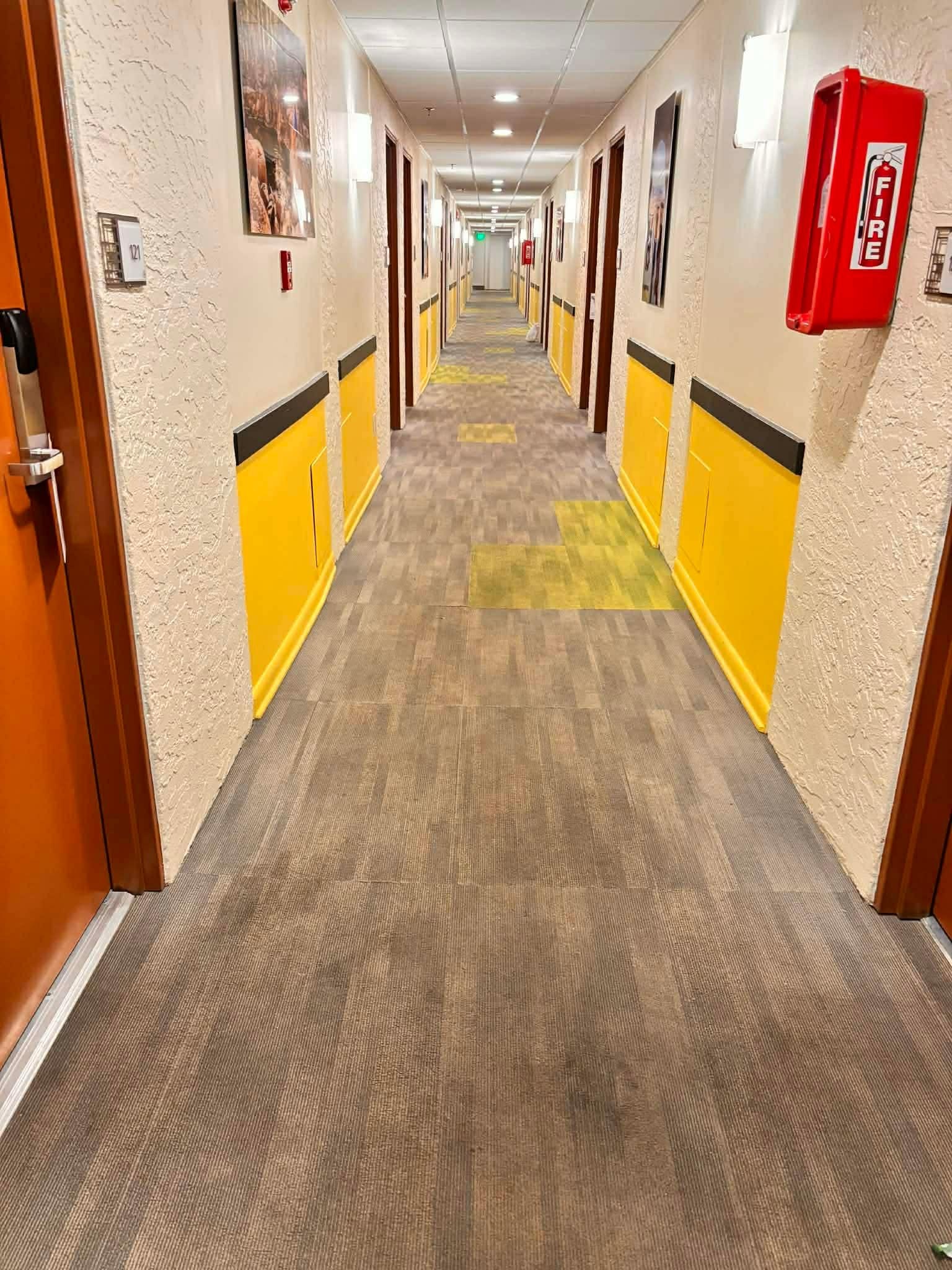 As of our visit Jan 2026, carpet in the halls is due for a cleaning. Carpet in room was clean.