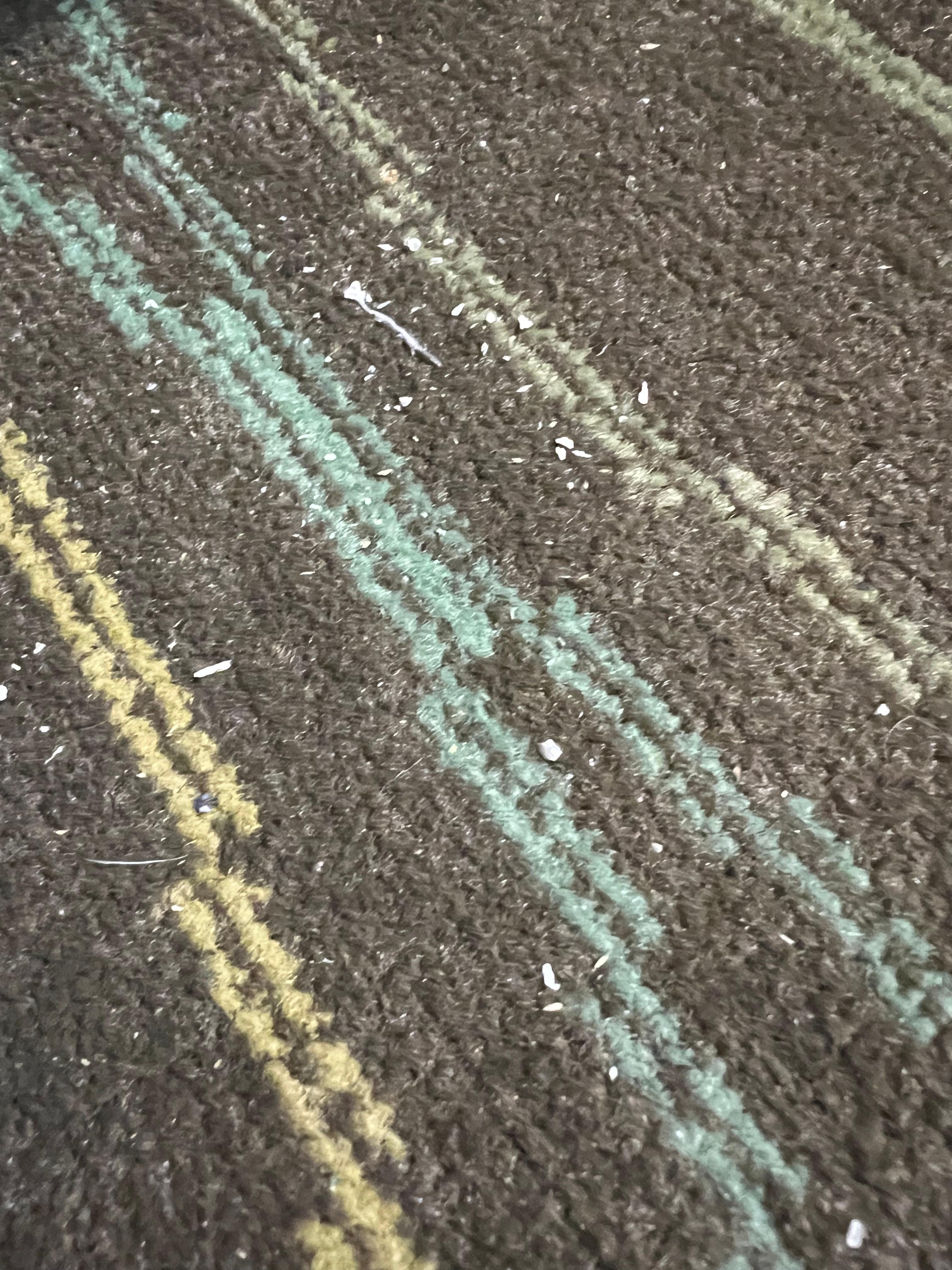 Fingernail clippings on the floor between the beds