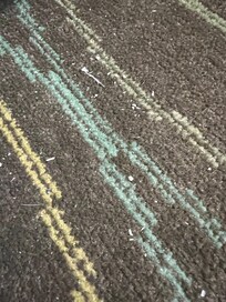 Fingernail clippings on the floor between the beds