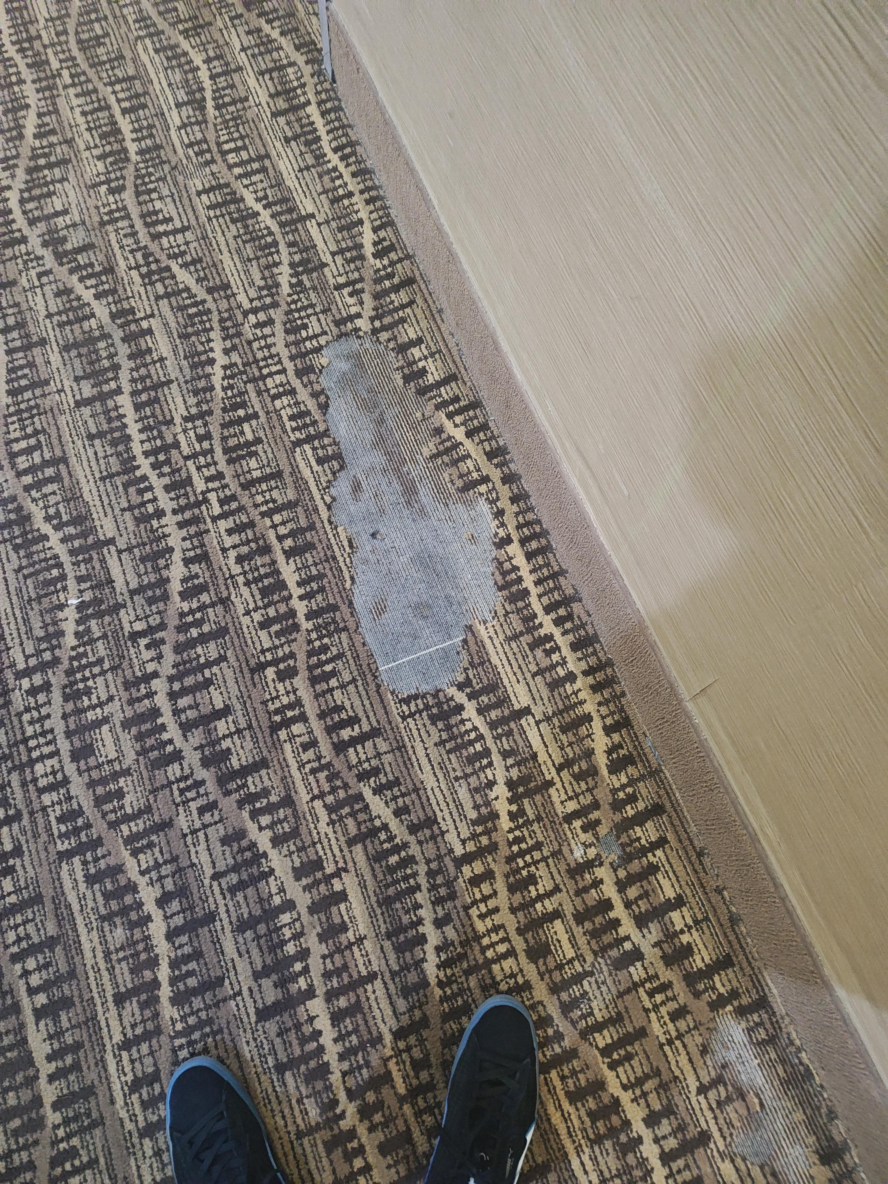 Rips in carpet all over