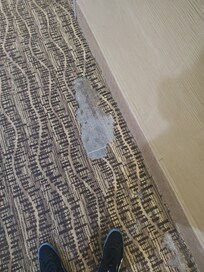 Rips in carpet all over