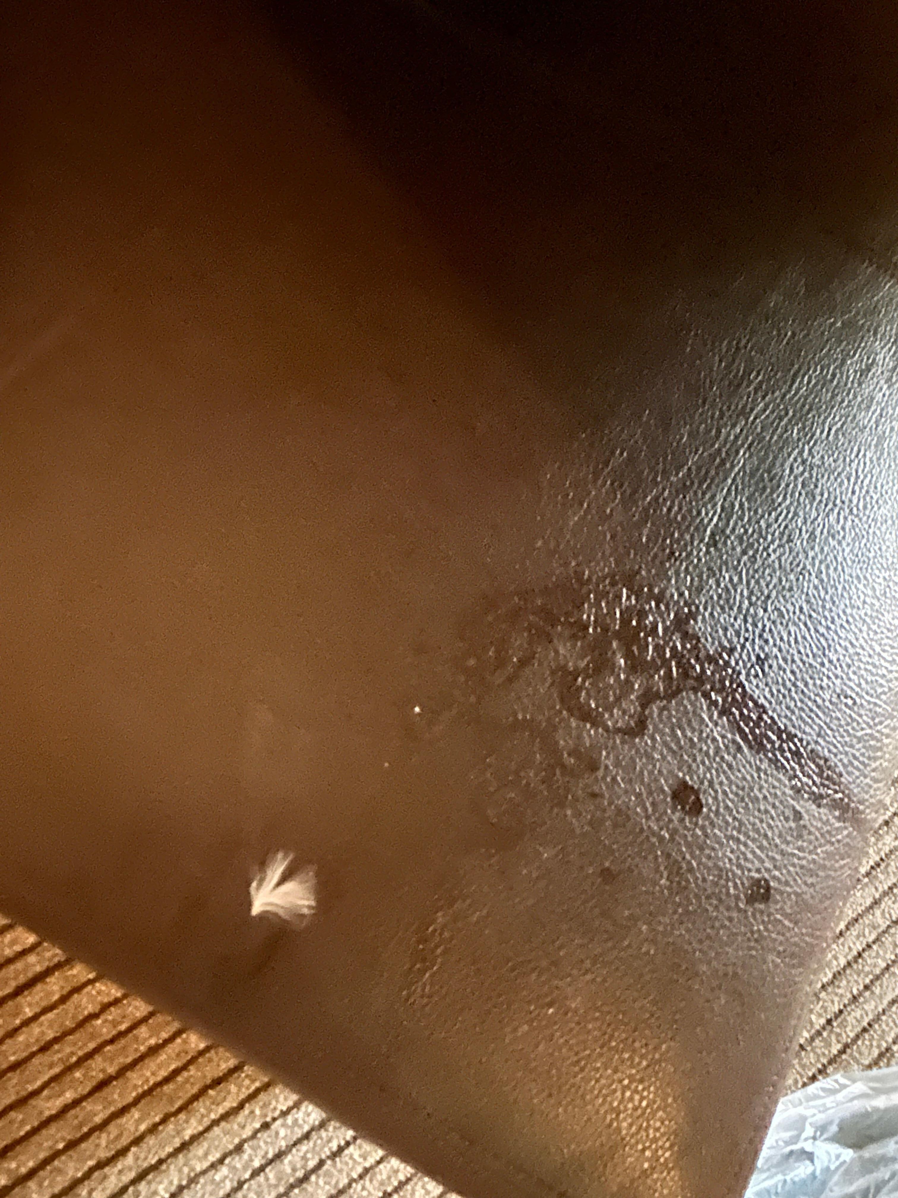 Sticky surfaces throughout the room