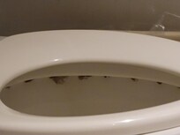 Visible from the entrance