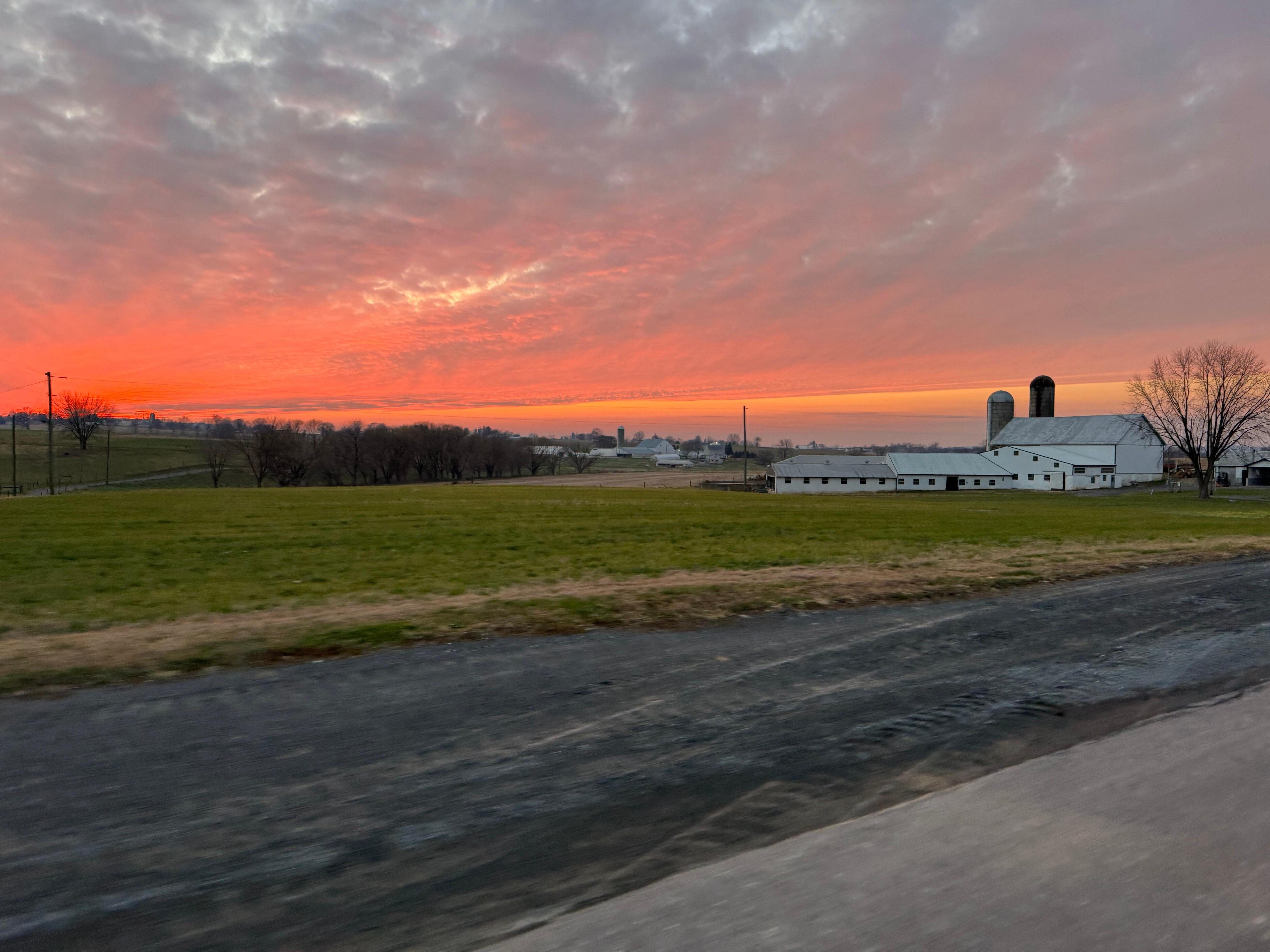 View across the street as the sun was setting. 