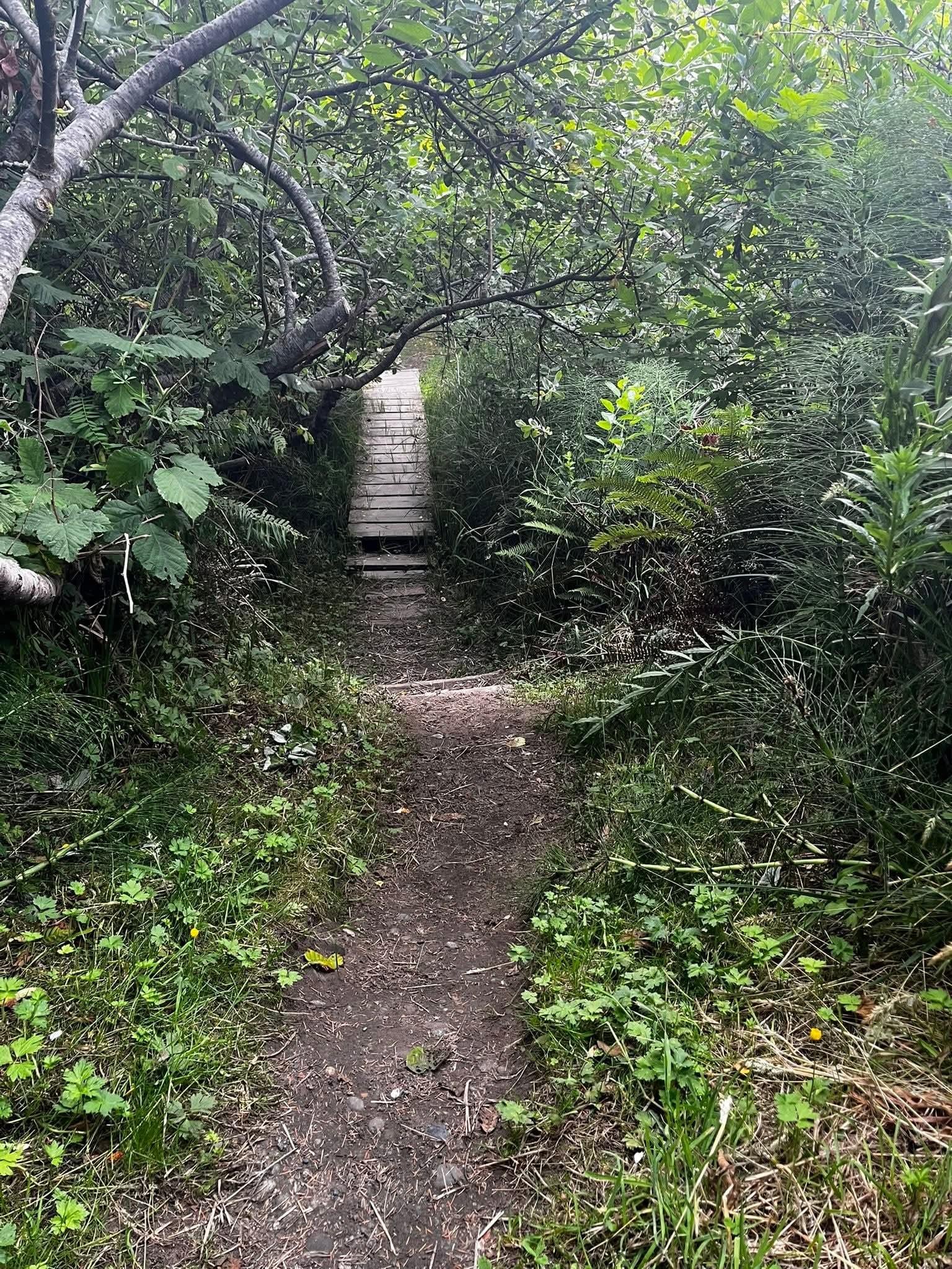 Trail to beach. Super pretty but be aware there is a part with steep steps.