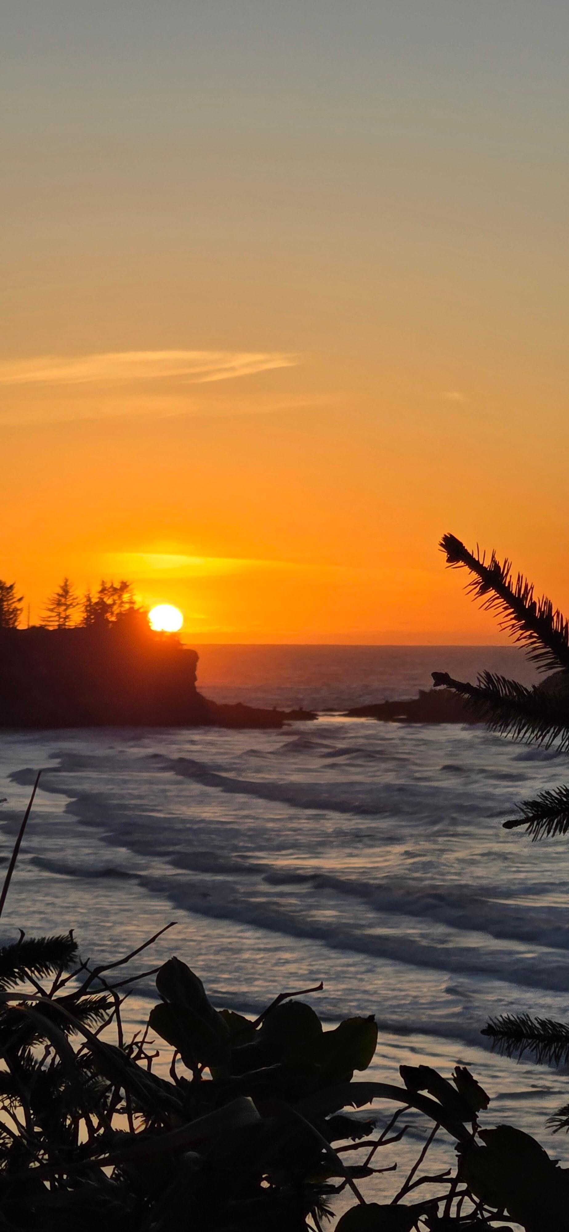 View from the back yard