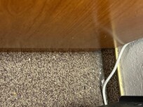 Joint between carpet and base hair, crumbs, dirt yuk