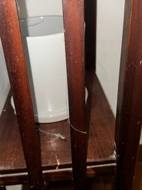 Webs in the so called living area