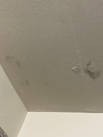 Mold on ceiling