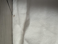 spider crawling on bed