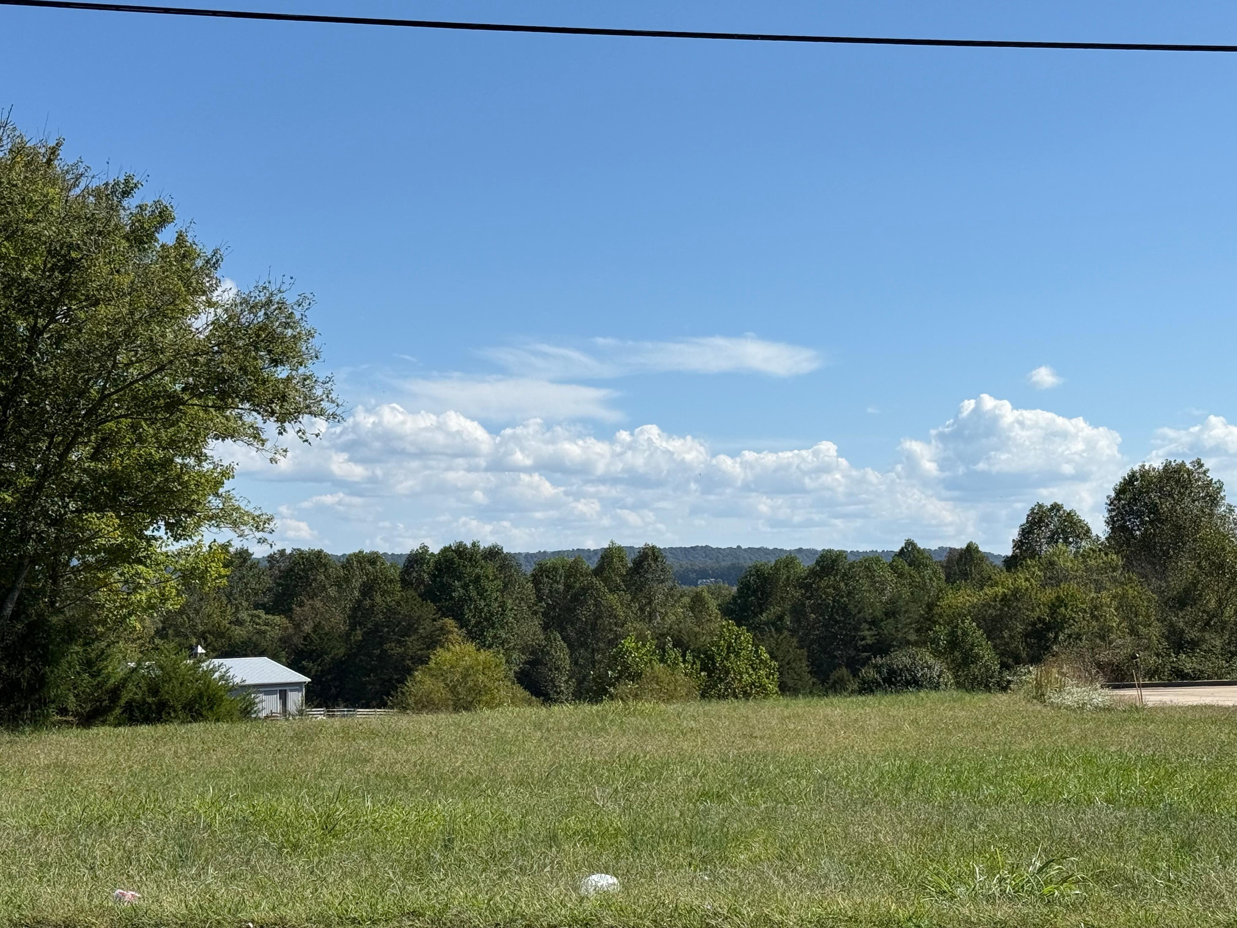 View from the back yard