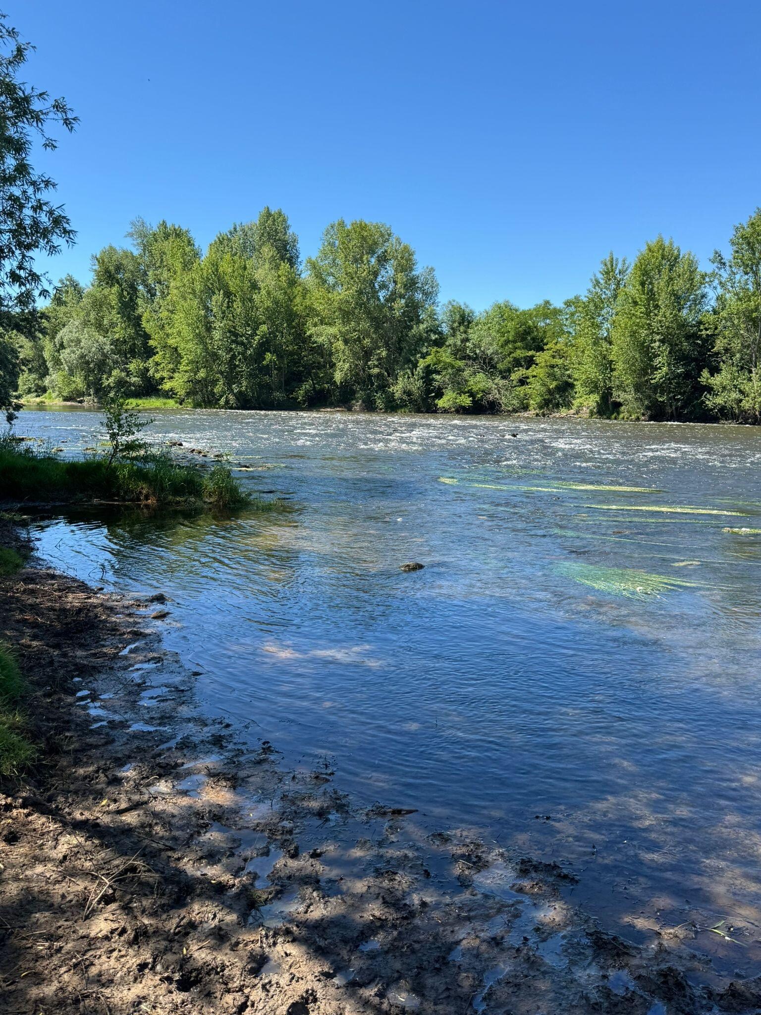 Au bord de l'Allier