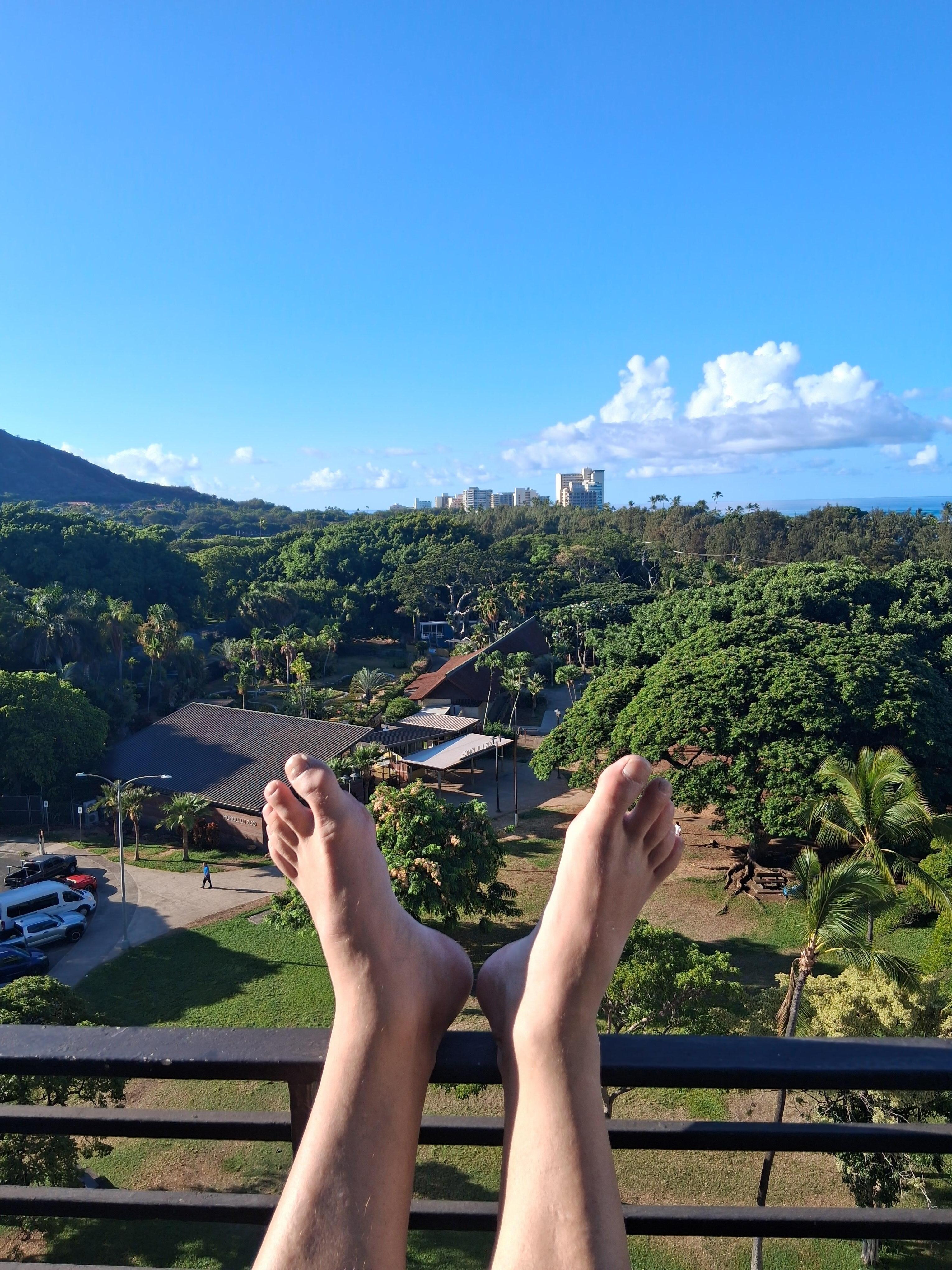 View of Zoo and on the right is the ocean 👍