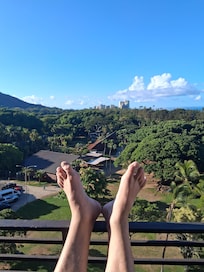 View of Zoo and on the right is the ocean đ
